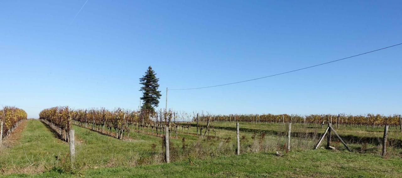 Le Clos De La Chataignere Villa Vérac Eksteriør bilde